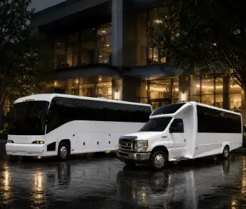 31 Passenger Black Executive Shuttle Bus