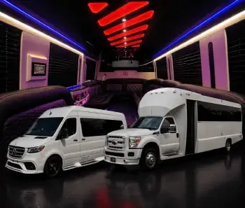 24 Passenger Silver Luxury Party Bus